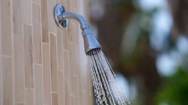 Cost of Showerhead Repair in Jersey City